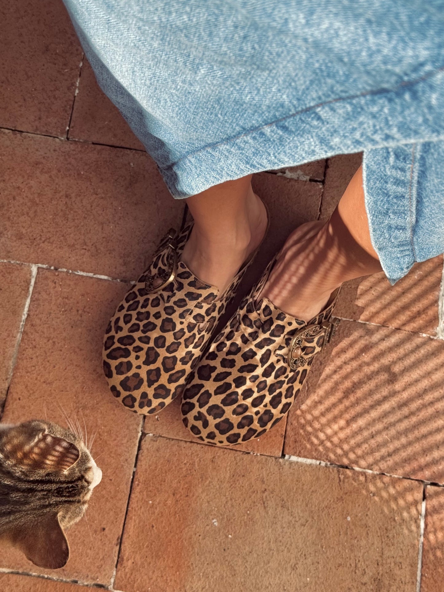 Socas Södermalm Leopardo